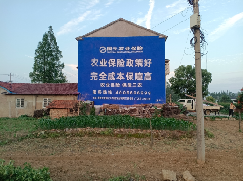 新龙墙体广告的优劣势你知道吗?