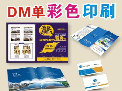 新龙单页印刷，色彩搭配简单。